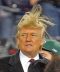 donald-trump-bad-hair-photo-1-1